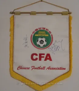 FEDERAZIONE CALCISTICA DELLA CINA