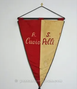 CUOIPELLI