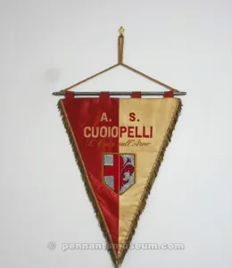 CUOIPELLI