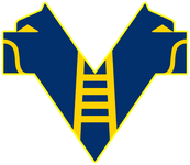 HELLAS VERONA FOOTBALL CLUB