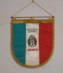 FEDERACIÓN MEXICANA DE FÚTBOL ASOCIACIÓN