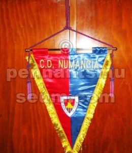 NUMANCIA C.D.