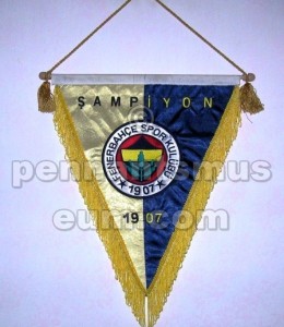 FENERBAHCE S.K.